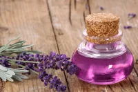 Lavender Carrier Oil (Purple-Color)