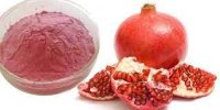 Pomegranate Fruit Extract Powder