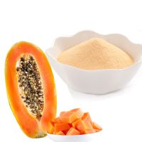 Papaya Fruit Extract Powder
