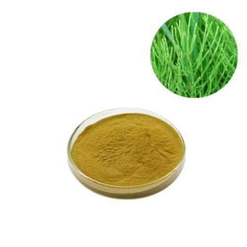 Horsetail Extract Powder Sophix Natural