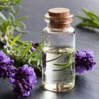 Lavender Carrier Oil