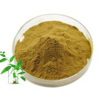 Bamboo Stem Extract Powder