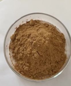 Bear-berry Leaf Extract Powder