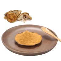 Shiitake Mushroom Extract Powder