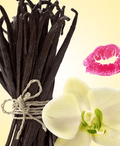 Vanilla Bean fragrance