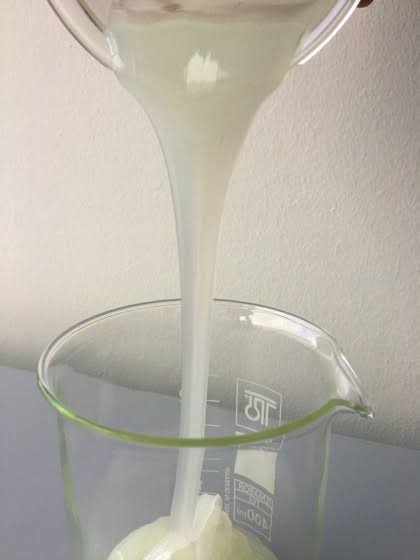 Polyglyceryl-6 Caprylate - Sophix Natural