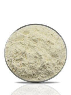 Aloe Vera Extract Powder-200X