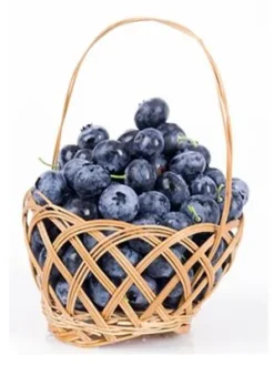 Blueberry Fragrance oil