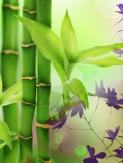 Australian Bamboo Grass Fragrance Oil - Nature Garden