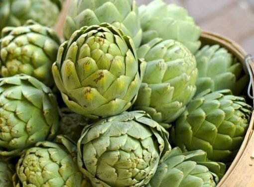 Artichoke Leaf Extract