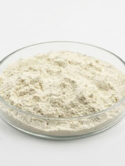 Aloe Vera Extract Powder-200X