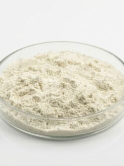 Aloe Vera Extract Powder-200X