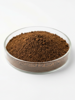 Chaga Mushroom Extract Powder