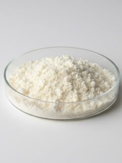 Coconut Milk Powder