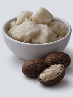 Natural Shea Butter (ivory Color)