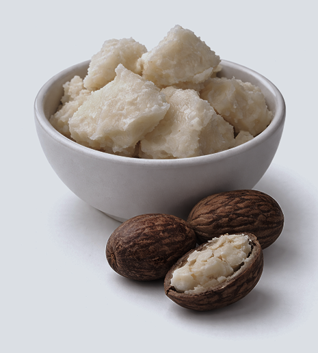 Natural Shea Butter (ivory Color)