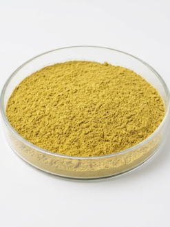 Panax Ginseng Root Powder (Edible)