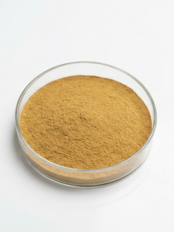 Shiitake Mushroom Extract Powder