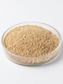 Slippery Elm Extract Powder