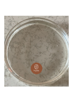 Ascorbyl Tetraisopalmitate Oil (VC-IP)
