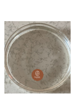 Ascorbyl Tetraisopalmitate Oil (VC-IP)