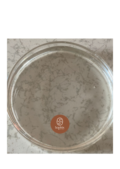 Ascorbyl Tetraisopalmitate Oil (VC-IP)
