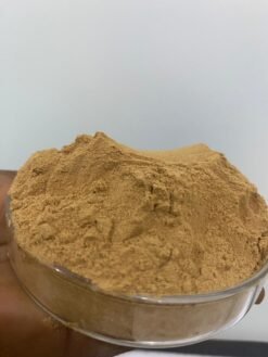 Aguaje Fruit Extract Powder