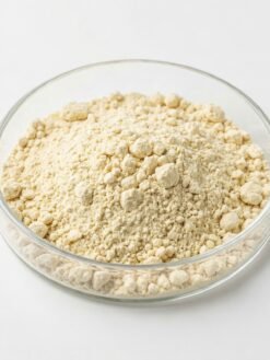 Snail Extract Powder