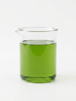 Avocado Carrier Oil (Light-Green)