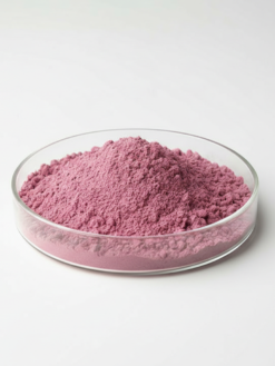 Bearberry Fruit Extract Powder