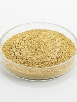 Bentonite Clay