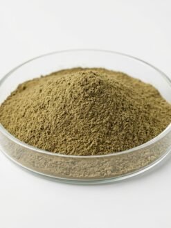 Organic Brahmi Powder