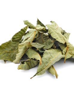 Horse Chestnut Leaves