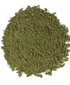 Green Tea Extract Powder
