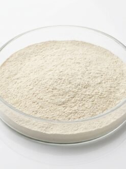 Pumpkin Enzyme