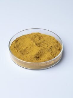 Echinacea Extract Powder