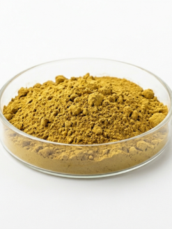 Evening Primrose Extract Powder