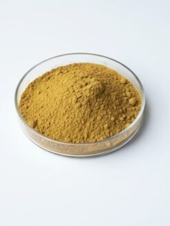 Horse Weed Extract Powder