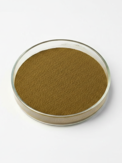 Devil's Claw Extract Powder