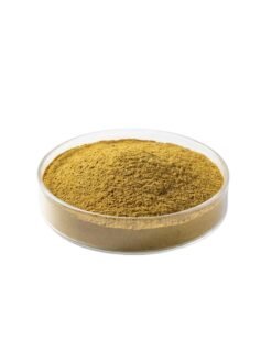 Shepherd Purses Extract Powder