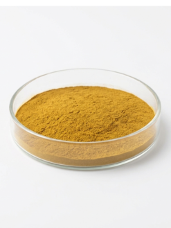 Pomegranate Seed Extract Powder