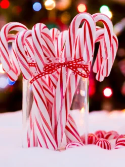 Candy Cane Fragrance Oil