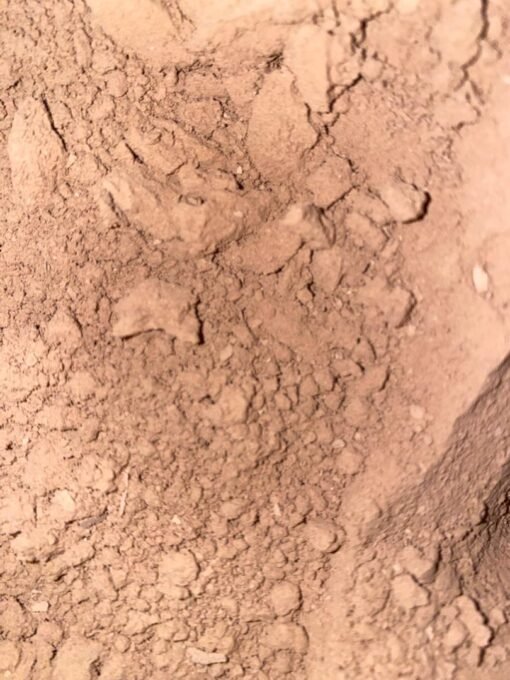 Cocoa Powder