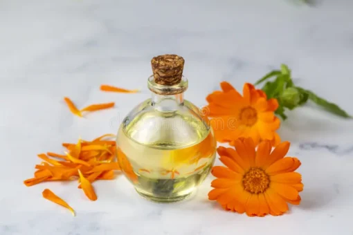 Calendula Essential oil