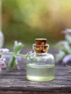 Clary Sage Essential Oil