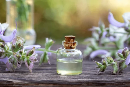 Clary Sage Essential Oil