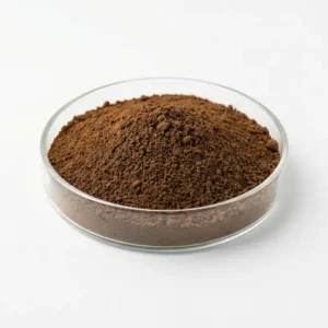 Chaga Mushroom Extract Powder