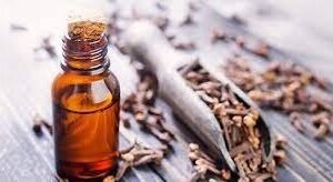 Clove Buds Essential Oil