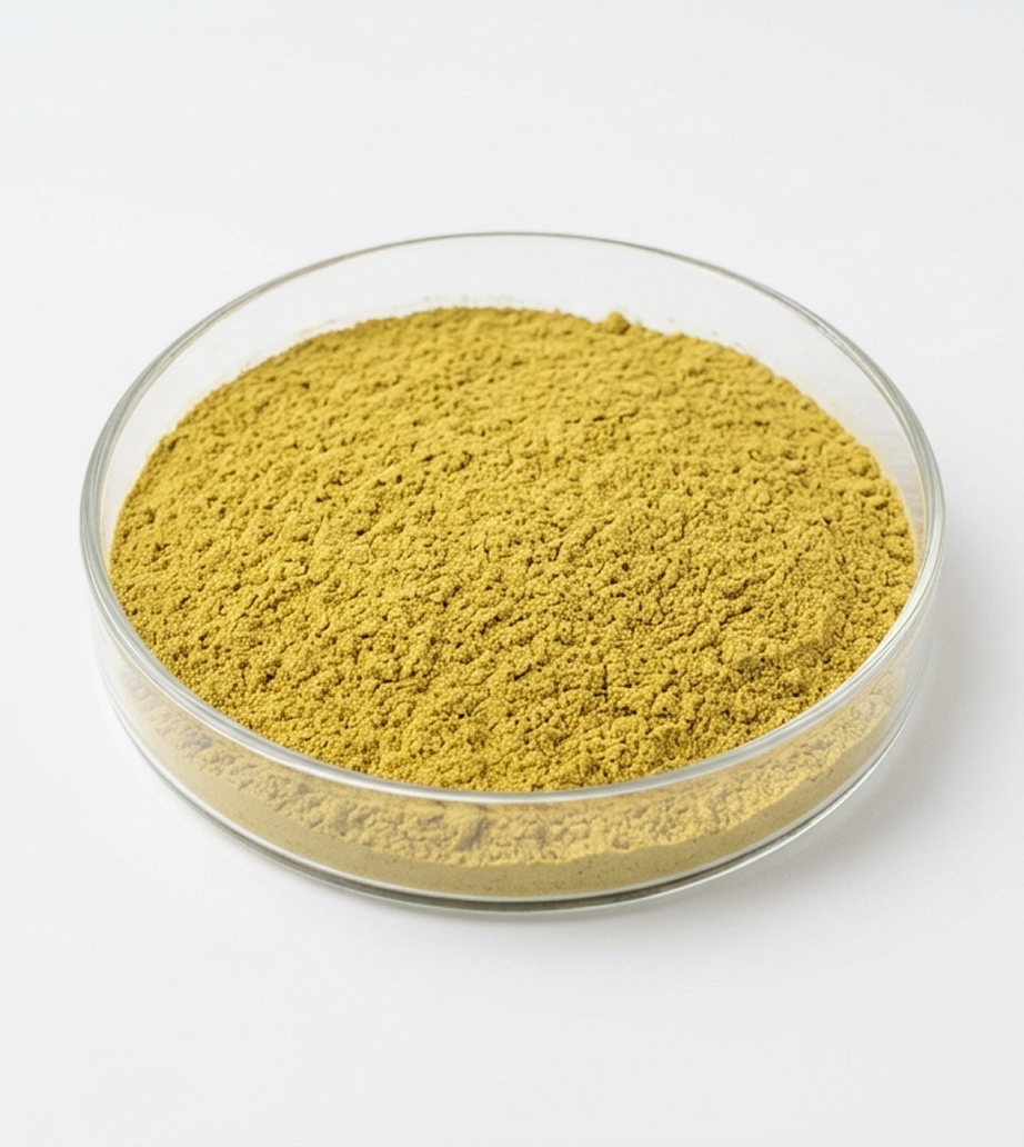 Panax Ginseng Root Powder (Edible)