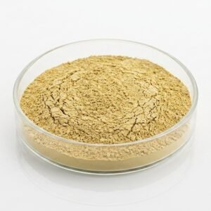 Bentonite Clay